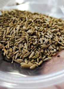 Cummin/ Jeera Seeds