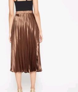 Pleated Skirt
