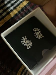 Sparkling Silver Earrings