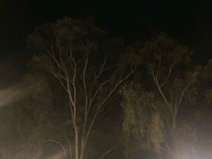 NEET Prep Books - Aakash