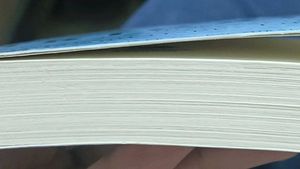 Ikigai: The Japanese Secret book