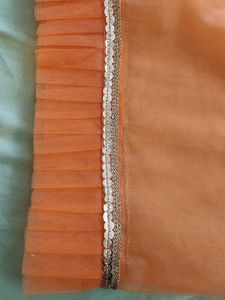 ✨ Handmade Orange Net Pallu/Dupatta with Golden Bo