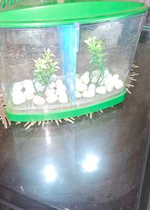 Small Aquarium  With Partition &amp; Lights