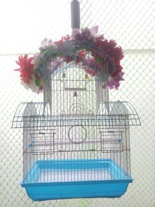 🐦 Brid Cage