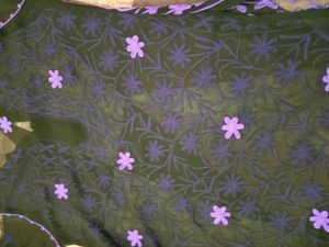 Elegant Embroidered Kurta