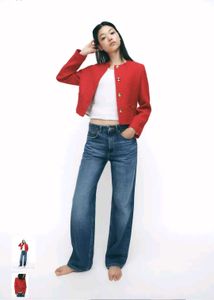 Zara New Blazer