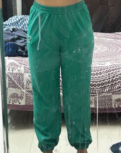 Green Casual Pants