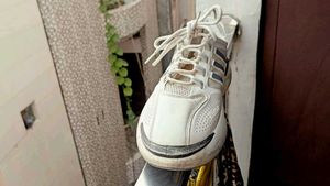 Stylish White Sneakers