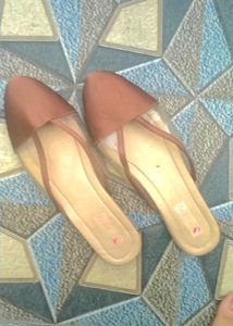 Brown &amp; Clear Pointed Mules