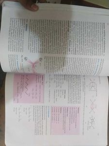 Class 11th Chemistry Ncert Textbook Part 2
