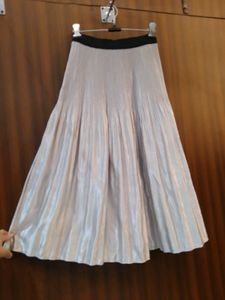 Silver Skirt