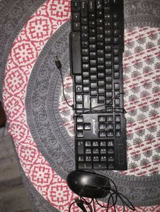 ProDot Keyboard & Hp Mouse