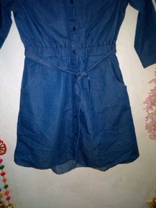 Pantaloon Brand Dress