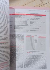 The Essentials Of Forensic Medicine And Toxicology