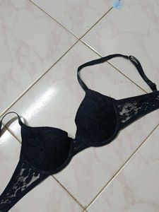 New Brand Pushup Lavd Bra