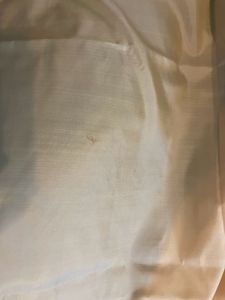 Pure Silk Saree with cream colour readymade blouse