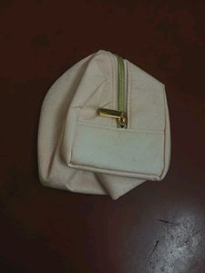 Shimmery Pouch