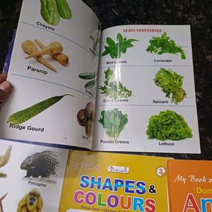 Toddler Books