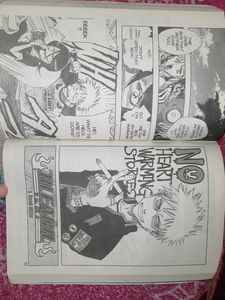 bleach volume 1