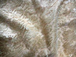 A Golden Beautiful Palazzo Pant ❤️😘🥰❤️