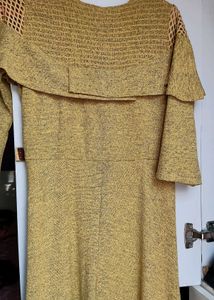 The Beautiful Party Wear Gown