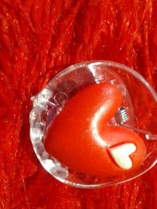 Red Accessory Gift Set