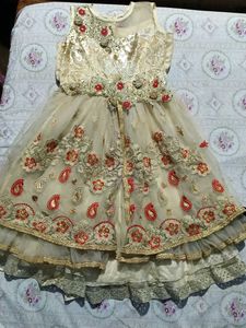 Embroidered Gold and Red Dress