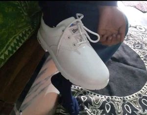 White School Shoes
