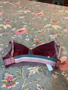 Padded Brassiere From Clovia