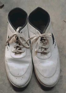 Casual White Sneakers