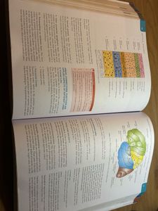 Medical Physiology for Undergraduates
