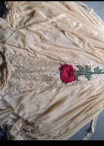 Very Beautiful And Elegant Pretty Golden Gown