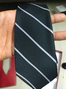 A New Tie , Pocket Square, Lapel Pin Set