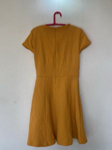 Mustard Yellow Dress