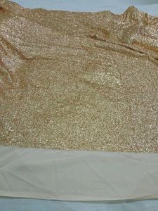 Wedding Sequin Saree + peticoat + unstitched Blous