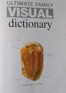 Fiction Books