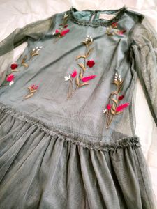 Embroidered Tulle Mini Dress