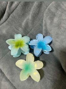 Flower Hair Clips (Set of 3)