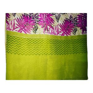 Beautiful Multicolor Saree With Border