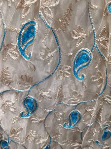 Beautiful Net Skirt