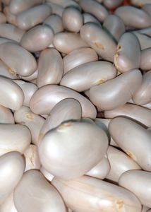 Good Quality Jackfruit Seeds
