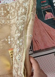 Partywear Golden Beige Saree