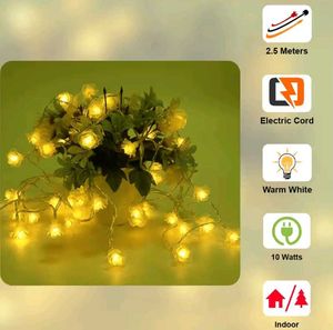 Rose Lights for Diwali!