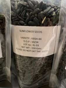 Hybrid Sunflower seeds for planting
