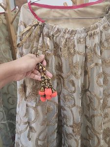 Heavy Embroidered Lehenga Skirt