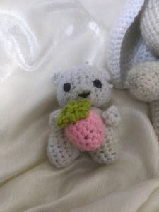 Cute White Rabbit And Teddy