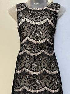 Pintrest Honey Branded Lace Mini Dress