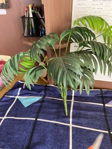 Artificial Plant