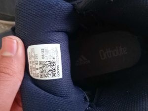 Adidas basketball Shoes