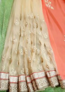 CORAL N GOLDEN NET SAREE